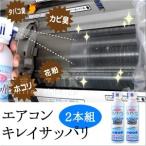 お買い得セット エアコンクリーナー エアコンキレイサッパリ2個組 使い切り 母の日 爆買