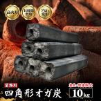 東北関東限定価格 業務用 オガ炭 10kg 送料無料 オガ備長炭 白炭製法 成形炭 焼き鳥 うなぎ 焼肉 飲食店 焼き台 大容量 まとめ買い 高山備長炭