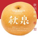 【数量限定】 秋田県産 和梨 秋泉 大玉 5kg 産地直送 送料無料 梨 なし ナシ プレゼント 果物 フルーツ 秋田県 人気 売れ筋