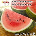 熊本県産 訳あり 大玉 すいか スイカ Mサイズ Lサイズ 産地直送 完熟 西瓜 果物 くだもの フルーツ プレゼント 果実 予約商品 スミフル 5月中旬より順次発送