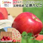  Nagano префектура производство .. яблоко 3kg бесплатная доставка .. яблоко меласса ввод si nano сладкий солнечный .. подарок фрукты фрукты Nagano префектура популярный хорошо продающийся товар [10 месяц 20 день .. последовательный отправка ]