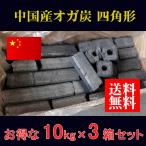 オガ炭 30kg 中国産おが炭 四角形 10kgｘ3箱 ＜法人様・店舗様限定＞備長炭 炭火 オガ備長炭　