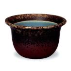  Shigaraki . старый Shigaraki Kabuto type горшок с водой 16 номер 