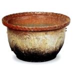  Shigaraki . огонь цвет titanium горшок с водой 16 номер 