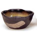  Shigaraki . желтый . кисть глаз цветок type оризия горшок 10 номер 