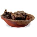  Shigaraki .. черепаха есть горшок с водой 13 номер 