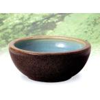  Shigaraki . золотой sobaSA-4 горшок с водой 16 номер 