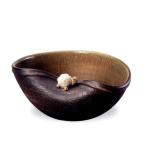  Shigaraki .olibe черепаха есть оризия горшок 10 номер 