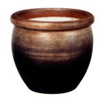  Shigaraki .koke обжиг в печи . оризия горшок 14 номер 