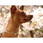すっきりプライス HAPPY チョーカー │犬グッズ