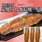 【通販限定お試し商品】炭焼うな富