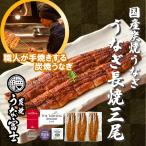 炭焼うな富士 国産特大青うなぎ蒲焼 三尾 蒲焼き 長焼き(三尾入)1パック160g以上