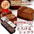 ショッピングチョコ 父の日 2024 とろけるショコラ 10個入 チョコレート ギフト おしゃれ 美味しい 送料無料 スイーツ チョコ プレゼント ケーキ 誕生日 洋菓子 お取り寄せ