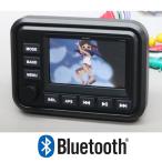 動画再生可能 防水 ブルートゥースアンプ Bluetoothアンプ