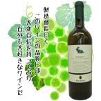 イタリア マルケ州 白ワイン ヴェレノージ ファレーリオ 750ml 辛口