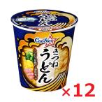  Sanyo еда Sapporo самый cup Star ... udon 67g ×12 шт 