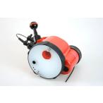 INONi non D-2000 Type3 подводный стробоскоп [Camera-230825ST2]