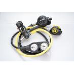 OH settled Apekse табебуйя ksXTX TUNGSTEN регулятор комплект [REG-201012UT]