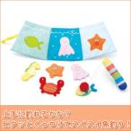 旧商品 布のおもちゃ にこにこフィッシング 4941746805114