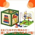 旧商品 森のあそび道具 森のあそび箱2 4941746806494(知育玩具)
