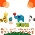 旧商品 つみコレシリーズ Safari park サファリパーク 4941746806586(ベビー用積み木、ブロック) 知育玩具