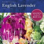 カタログギフト イングリッシュラベンダー ミストラル 501M084 (詰め合わせ セット 贈答 プレゼント 御歳暮 ギフト 贈り物)