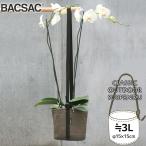 旧商品 プランター 鉢 おしゃれ オシャレ 正規品 BACSAC(バックサック) CLASSIC OUTDOOR サスペンダー3L BC-108