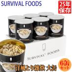 サバイバルフーズ25年保存食洋風と...