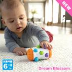 ( Revue привилегия есть ) Dream bro Sam ro rio DB4341 развивающая игрушка игрушка интеллектуальное развитие мужчина девочка 0 лет младенец baby 