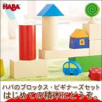 旧商品 ハバ HABAブロックス・ビギナーズセット HA9003(知育玩具)