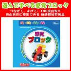 旧商品 知育玩具 感覚ブロック アイリンゴ30(ミニーカー) IR-30