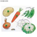M.リチャード ノブつきパズル・野菜 MRJJ151(知育玩具) パズル 幼児 おもちゃ 知育 0歳 1歳 2歳 木のおもちゃ 木製 出産祝い