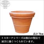 쾦 ȥ ꥹ 100cm TS-110-100