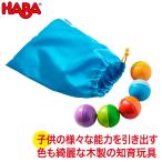 旧商品 HABA education ハバ エデュケーション マグネットクーゲルセット WF181079 おもちゃ 知育玩具 木製 誕生日プレゼント 1歳 2歳 3歳 クリスマスプレゼント