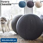 [ стандартный товар ]Vivora( vi bola) sheeting мяч Roo noshe Neal фитбол 0800