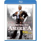  звезда. .. New York . line .Blu-ray Эдди *ma-fi выступление фильм Blue-ray 