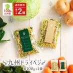 乾燥野菜 国産 九州ドライベジ 乾燥