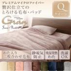 毛布 クイーン 2枚合わせ毛布 洗える マイクロファイバー 静電気防止加工 洗濯 発熱わた入り2枚合わせ毛布単品 ウォッシャブル プエル