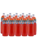 オレンジ業務用濃縮ジュース1L(希釈タイプ)果汁濃縮オレンジジュース 1L×15本　
