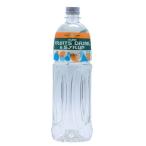 プレーンシロップ（ガムシロップ）1L　業務用