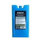 IGLOO(�C�O���[) �A�C�X�t���[�U�[�u���b�N�yM�z 25199
