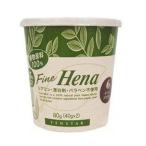 テンスター ファインヘナ ダークブラウン 白髪用 40g×2 TFH-04N