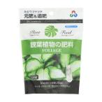  утро день UGG задний декоративное растение. удобрение Mini 150g