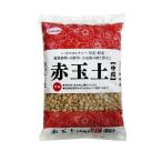  солнечный and Hope красный шар земля средний шарик 2L