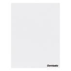 チェアマット 120×160cm ホワイト メーカー直送 ▼返品・キャンセル不可【他商品との同時購入不可】