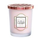 labon комнатный ароматические средства Rav Lee Schic 150g[3 шт. комплект ]
