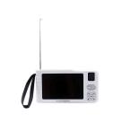 NT Technology buddy Max солнечный зарядка портативный радио *TV BM001