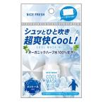 VERY NICE マスクスプレー COOLメントールの香り 20ml▼返品不可