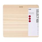 . печать select 100 разрезной панель 230×210mm AP5125