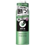 【ポイント10倍】【医薬部外品】ファイントゥデイ エージーデオ24メン メンズデオドラントスプレー スタイリッシュシトラスの香り 180g